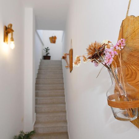 City Nest Shkodra Kültér fotó
